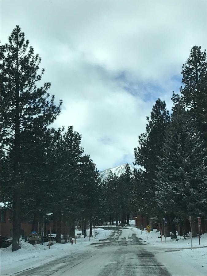 Mountainback #111 Mammoth Lakes